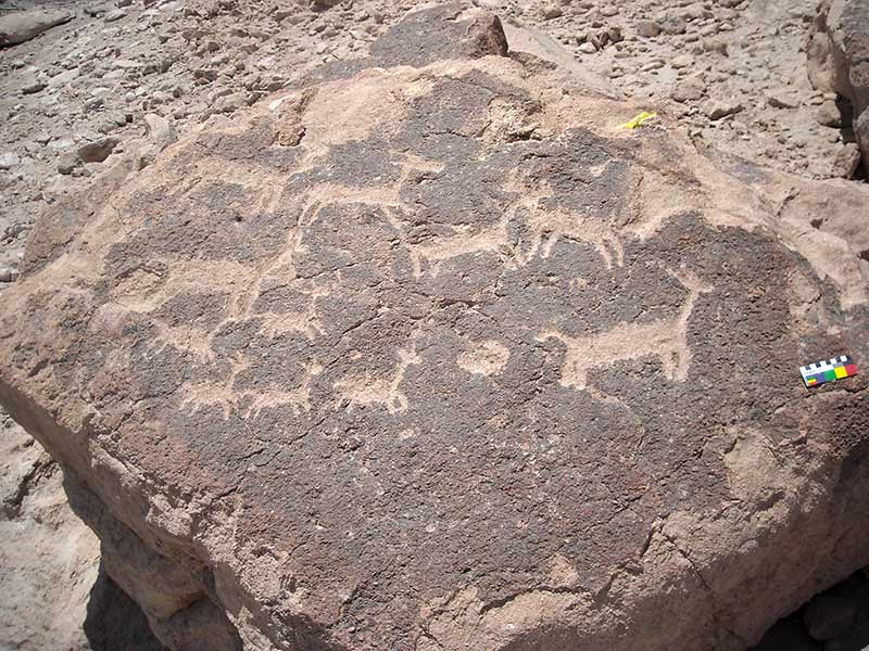 Proyecto FONDECYT REGULAR N°1111063 “Arte rupestre en las tierras bajas de los Valles Occidentales: cronología, estilo y cambios culturales”
