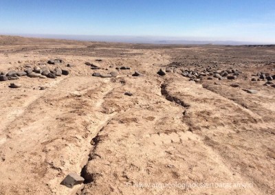 Proyecto Anillo SOC 1405 “Cambios Sociales y Variabilidad Climática a Largo Plazo en el Desierto de Atacama”