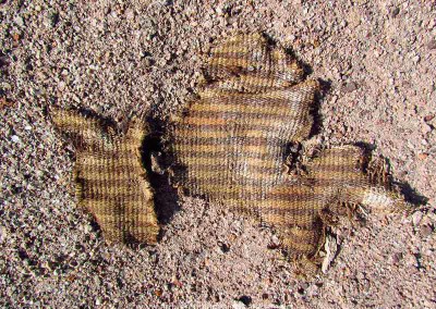 Fragmento de tejido de lana, sitio Km 41, valle de Lluta, Período Tardío